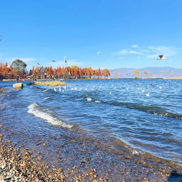 The scenic views around Lake Erhai.