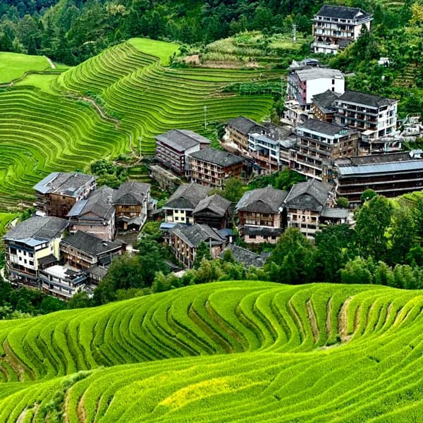 Longji Rice Terraces