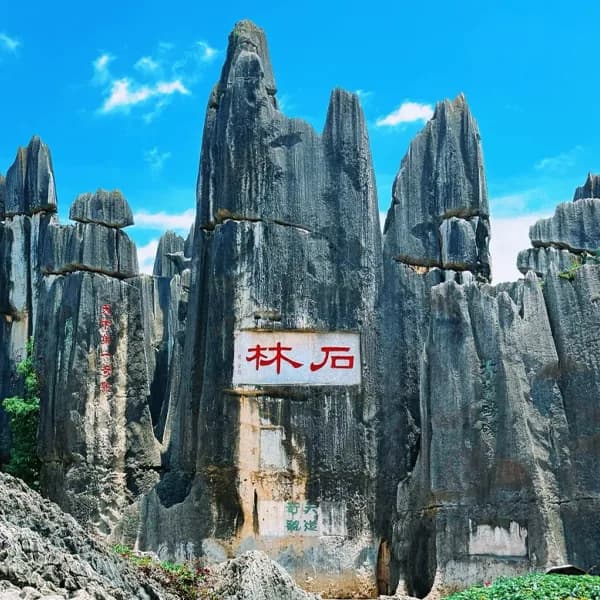 Stone Forest Scenic Area