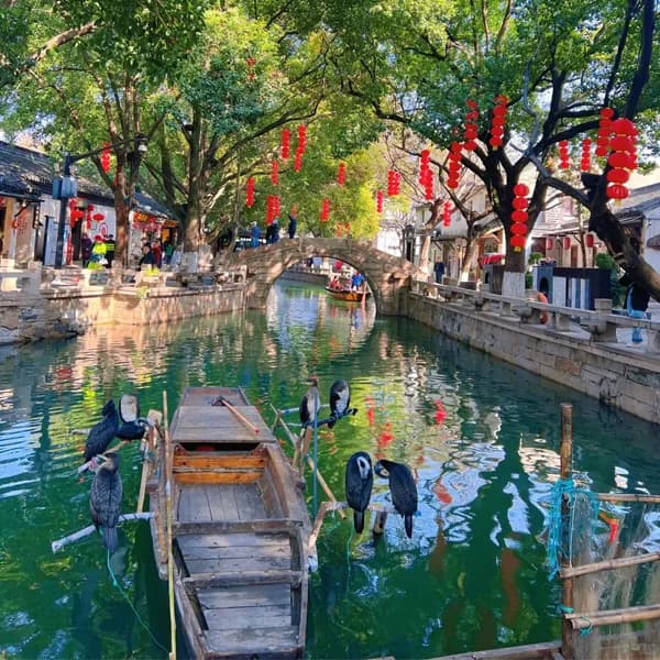 Tongli Water Town
