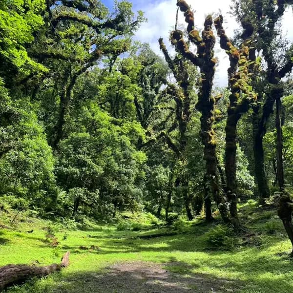 Gaoligong Mountain