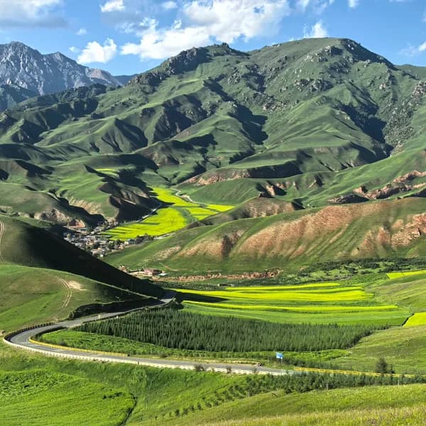 Qilian Mountain Grassland