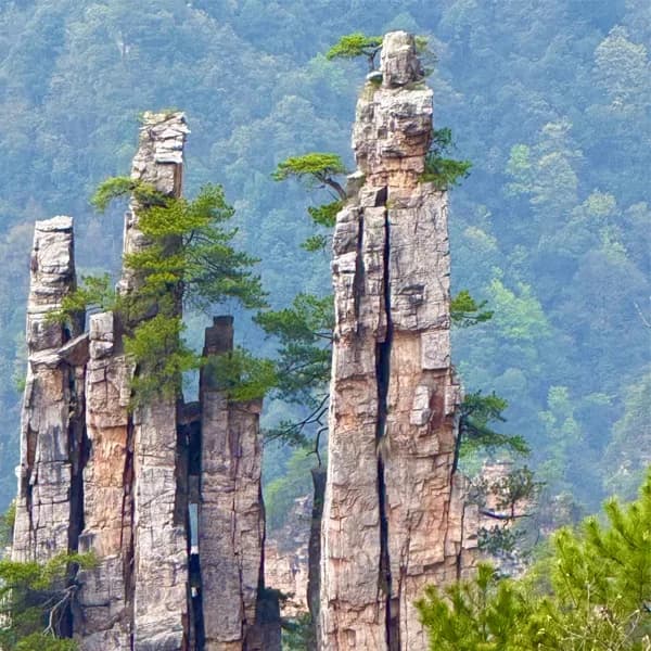 Wulingyuan National Forest Park Tour from Zhangjiajie 2