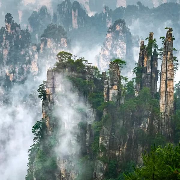 Wulingyuan National Forest Park Tour from Zhangjiajie 4
