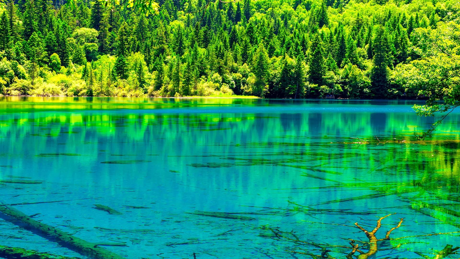 Jiuzhaigou Private Car Tour from Aba Station 5