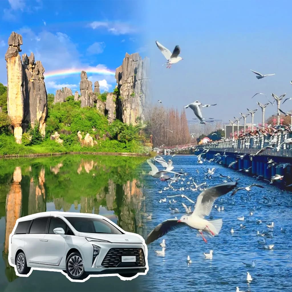 Kunming Stone Forest Tour & Dianchi Lake Private Car