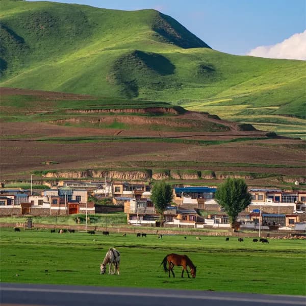 Labrang Monastery Tour from Lanzhou by Private Car 3