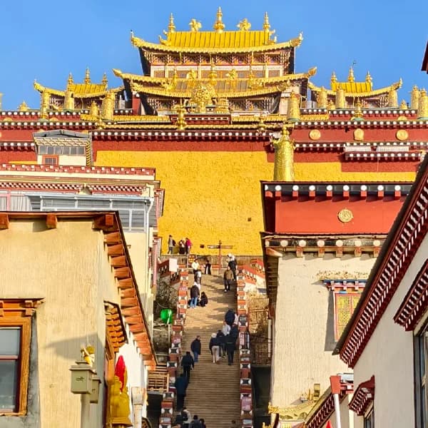 Shangri-La Private Day Tour to Songzan Rin & Pudacuo 2