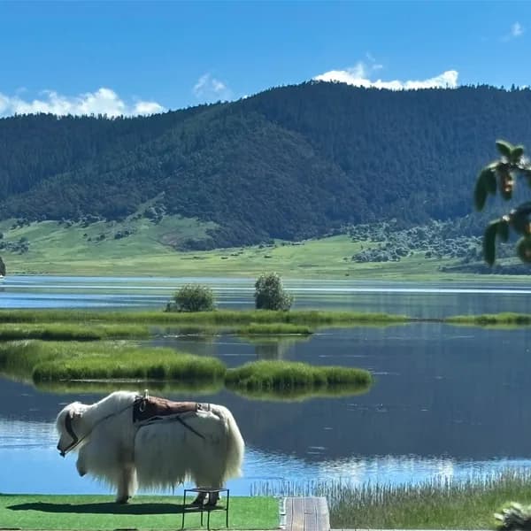 Shangri-La Private Day Tour to Songzan Rin & Pudacuo 5