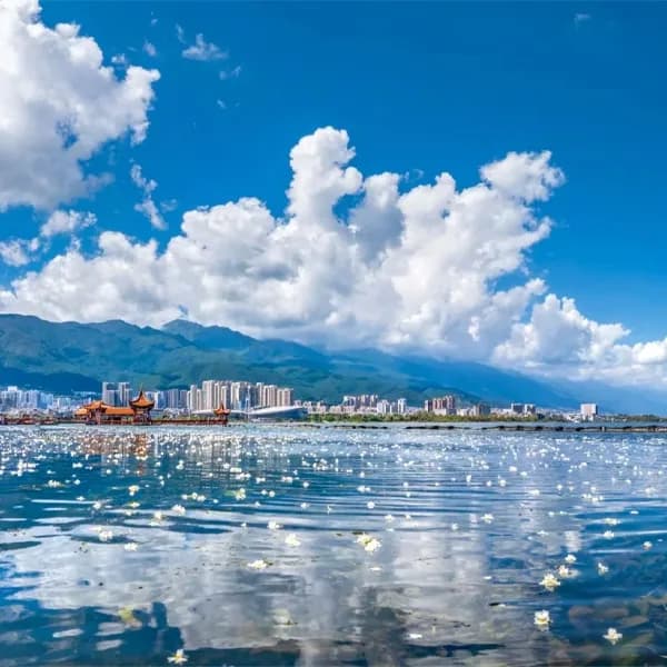 Erhai Lake Tour in Dali - Xizhou Private Day Trip 4