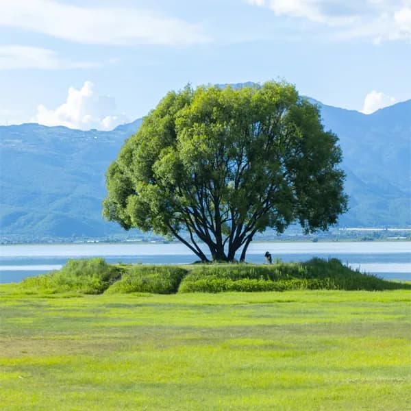 Baisha Ancient Town Tour from Lijiang to Lashihai 3