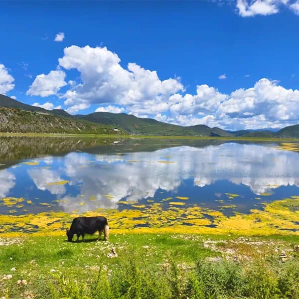 Tiger Leaping Gorge Tour from Shangri-La by Car 3