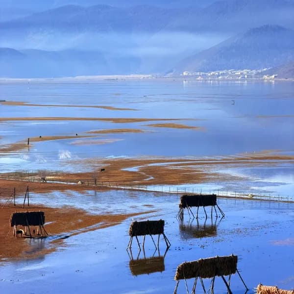 Tiger Leaping Gorge Tour from Shangri-La by Car 5