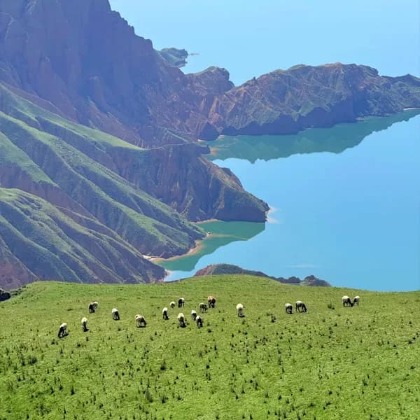 Xining Kanbula Day Trip - Guide Yellow River by Car 3