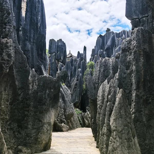 Kunming Stone Forest Tour & Dianchi Lake Private Car 3
