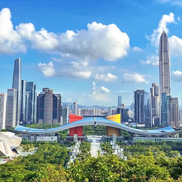 Shenzhen City Highlights Tour - Private Full-Day Trip 4