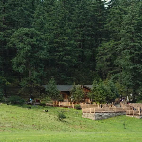 Yulong Snow Mountain Tour from Lijiang by Private Car 2