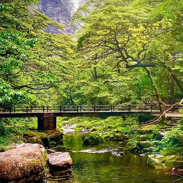 Zhangjiajie Grand Canyon Tour with Golden Whip Stream 4