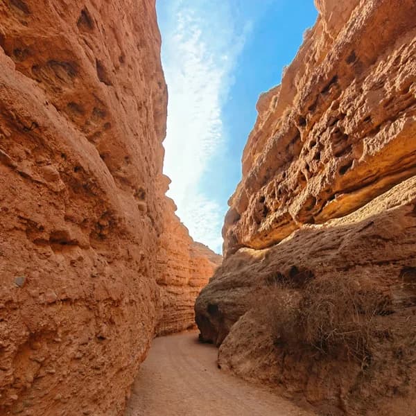 Zhangye Danxia Day Tour: Rainbow Danxia & Canyon 5