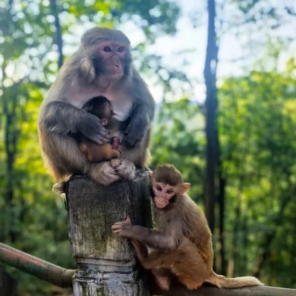 Guiyang City Tour - Private Full-Day Highlights 5