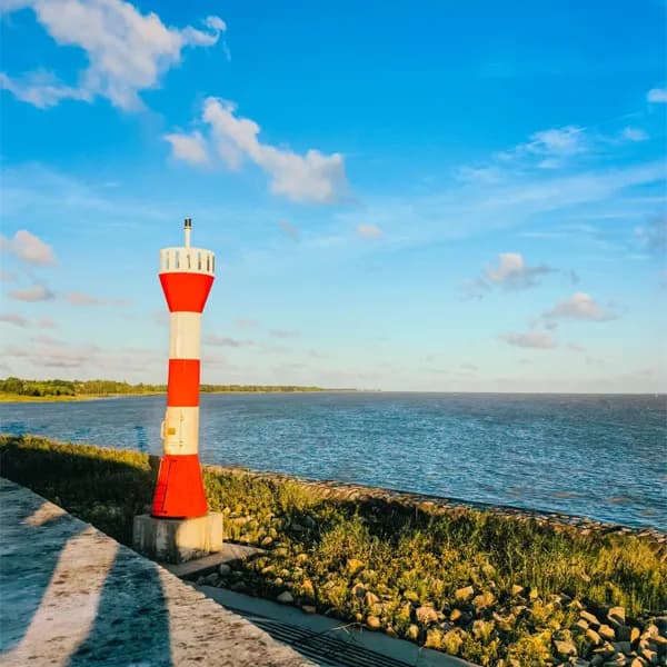 Chongming Island Tour from Shanghai by Private Car 3