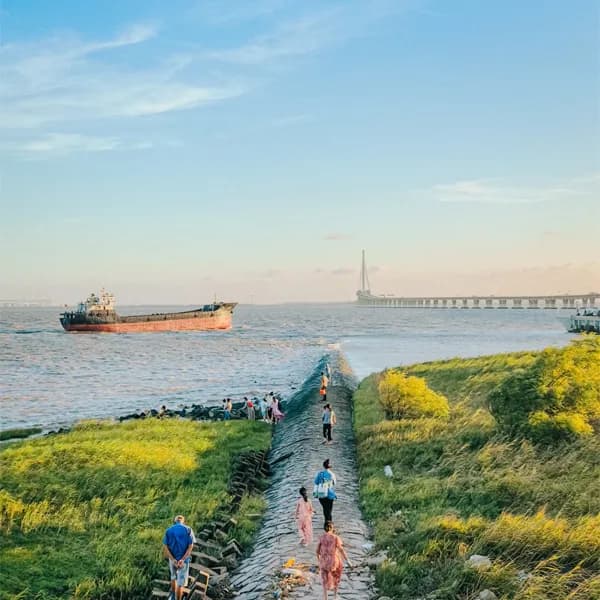 Chongming Island Tour from Shanghai by Private Car 4