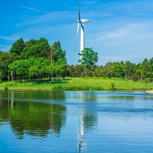 Chongming Island Tour from Shanghai by Private Car 5