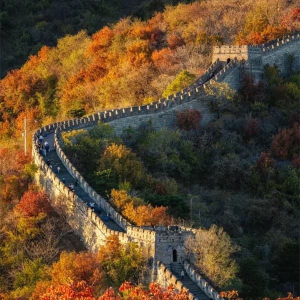 Beijing Great Wall Tour & Forbidden City by Car 3