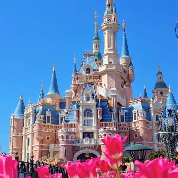 Shanghai Disney Tour - Private Full-Day Car 2