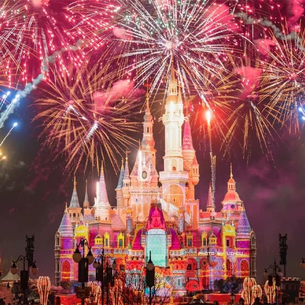 Shanghai Disney Tour - Private Full-Day Car 4