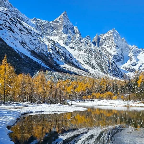 Bipenggou Tour from Chengdu by Private Car 3