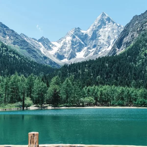 Bipenggou Tour from Chengdu by Private Car 5