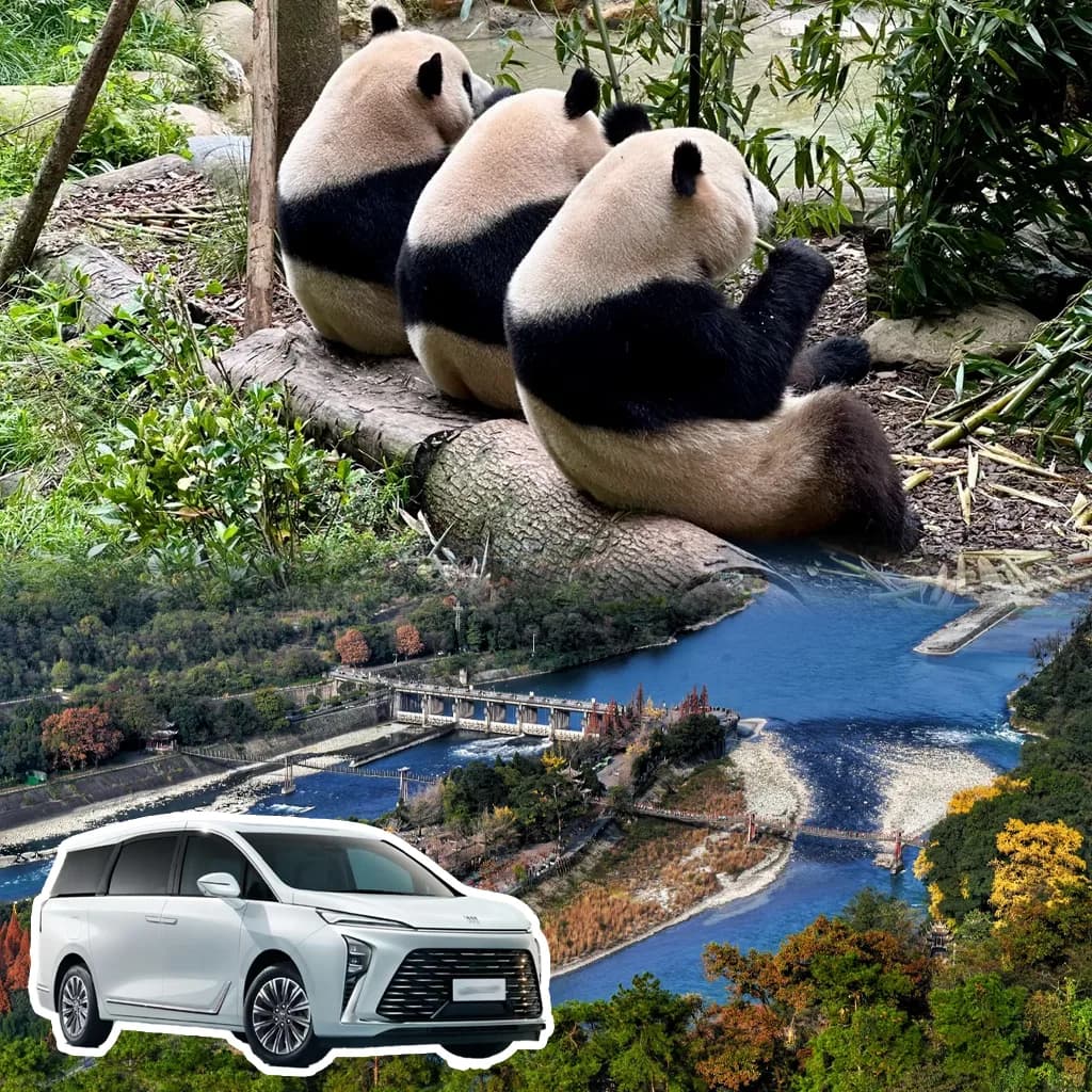 Dujiangyan Panda Valley Tour from Chengdu
