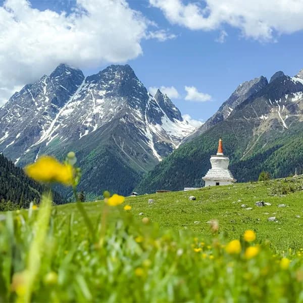 Shuangqiao Valley Tour from Chengdu by Private Car 2