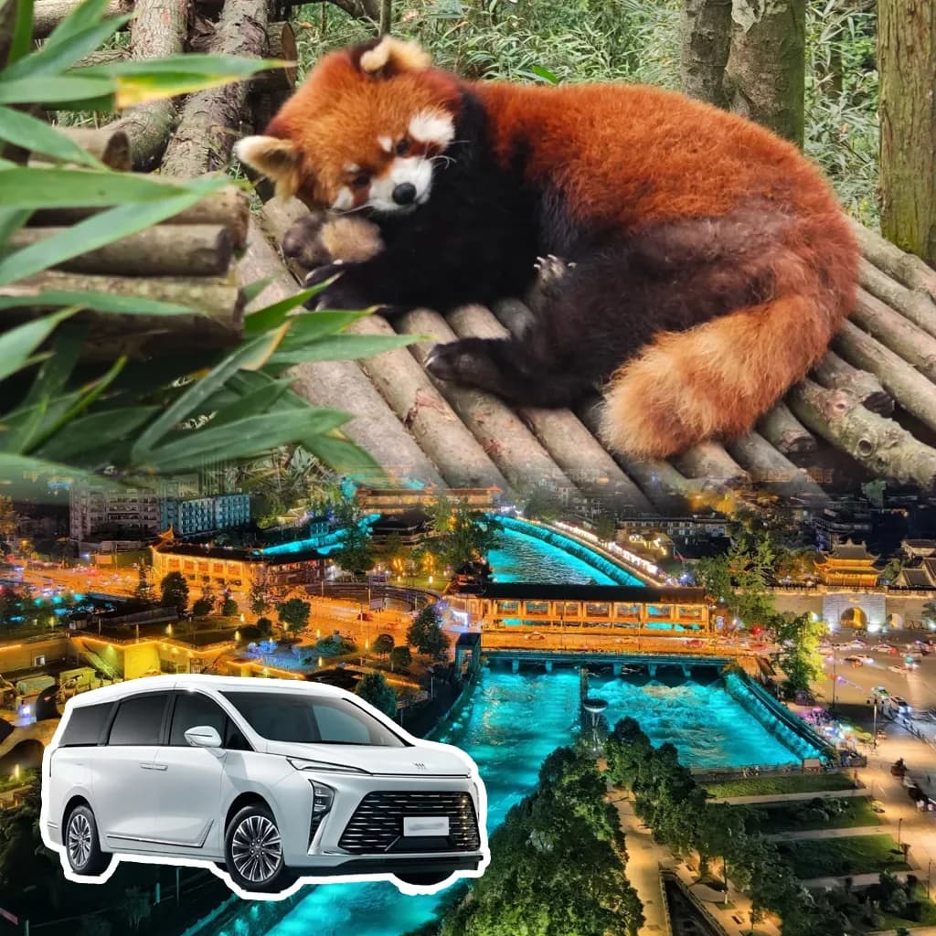 Dujiangyan Red Panda Tour from Chengdu