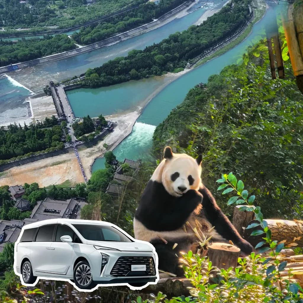 Chengdu Panda Dujiangyan Tour - Private Full Day