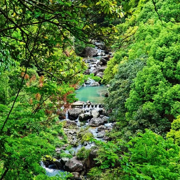 Xiamen Anxi Tea Garden Tour to Huqiu Hong’en Rock 5