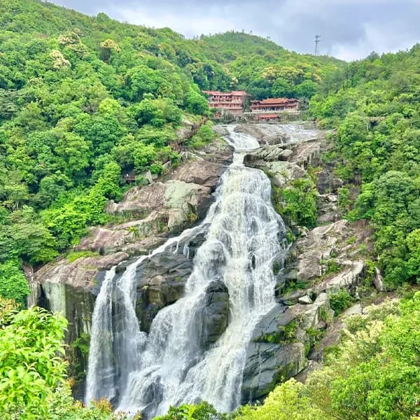 Xiamen Temple Forest Tour - Private Day Trip 4