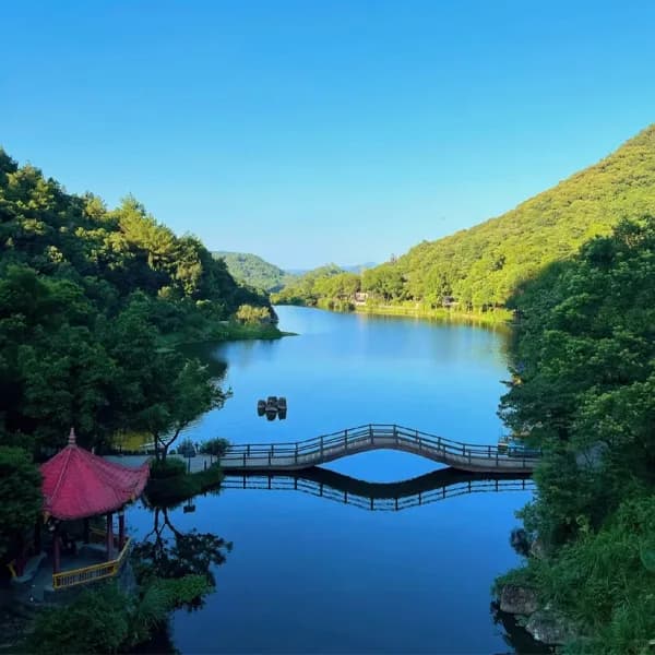 Xiamen Temple Forest Tour - Private Day Trip 5