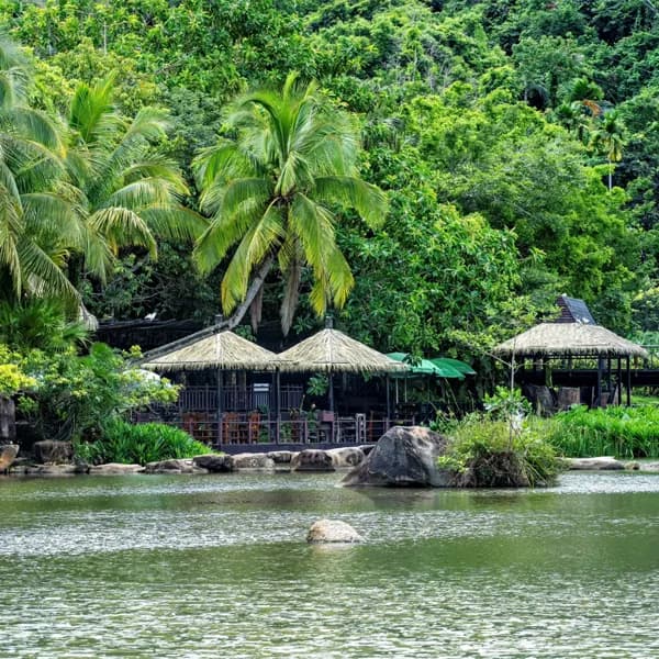 Yanoda Rainforest Tour Sanya - Private Day Trip 2