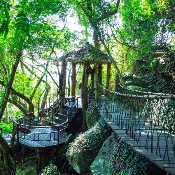 Yanoda Rainforest Tour Sanya - Private Day Trip 3