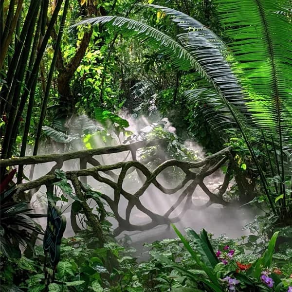 Yanoda Rainforest Tour Sanya - Private Day Trip 4