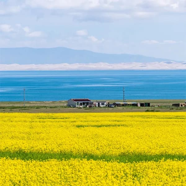 Qinghai Lake Tour from Xining by Private Car 4
