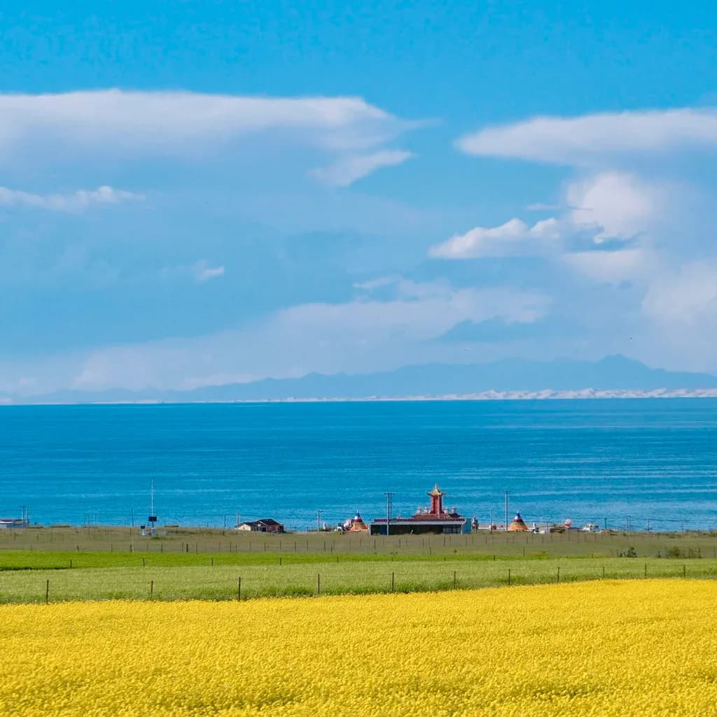 Qinghai Lake Tour from Xining by Private Car 5