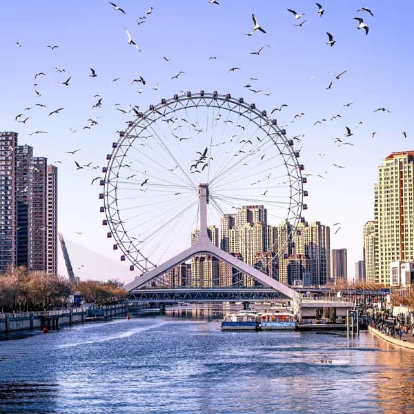 Tianjin Private Tour from Beijing - 8 Hours 4