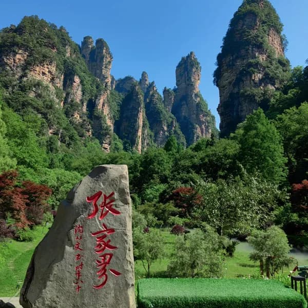 Wulingyuan Day Trip from Zhangjiajie by Private Car 5