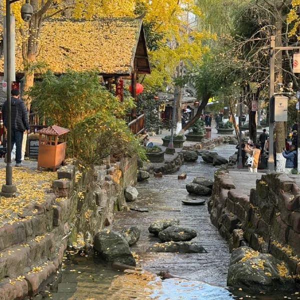 Leshan Giant Buddha Tour from Chengdu with Huanglongxi 5