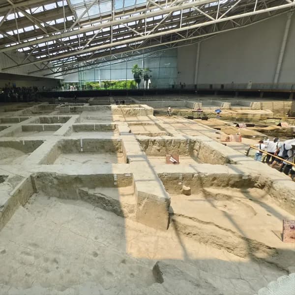 Sanxingdui Jinsha Ruins Tour from Chengdu 3