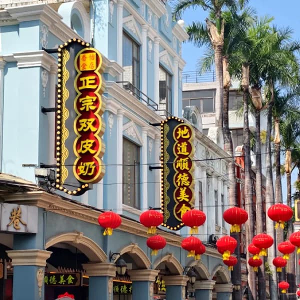 Shunde Private Tour from Guangzhou - 8 Hours 2