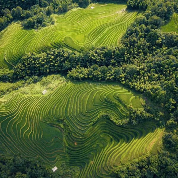 Guilin Longji Tour - Private Rice Terraces Day Trip 3
